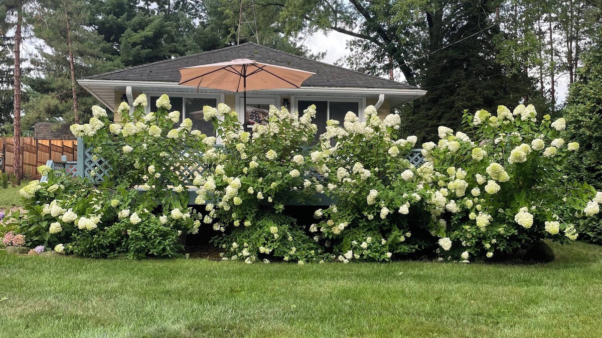 Markesan Cottage | Green Lake Terrace - AC- Fenced Yard -Dog Friendly. 2 short blocks to the beach.