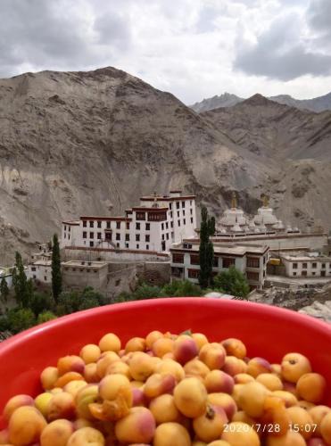 Tingmosgang House | Green Land Guest House Ladakh by LexStays