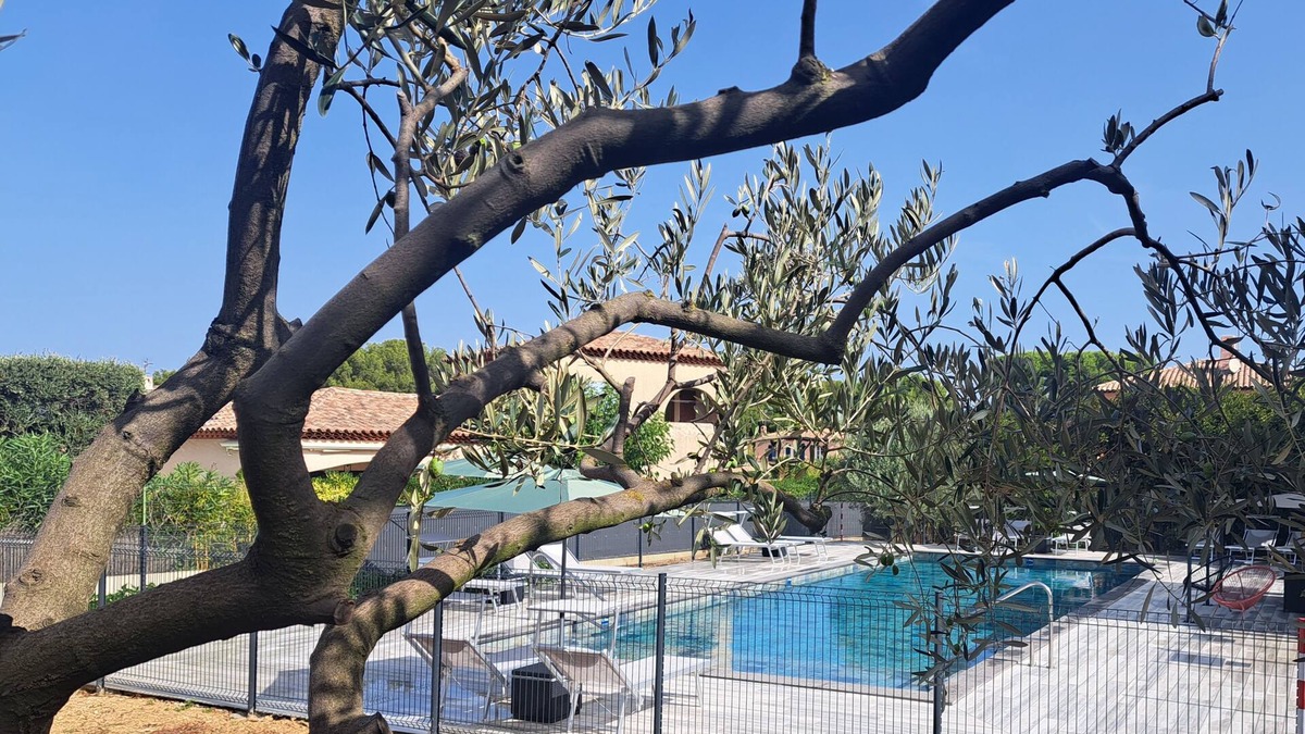 Le Brusc House | Green setting sea & pool