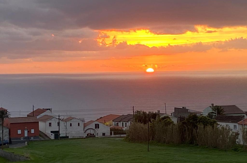 Ponta Delgada House | Green Tropical House