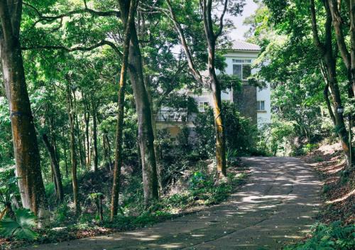 Sanyi House | Green Wave Sanyi BY REINDEER