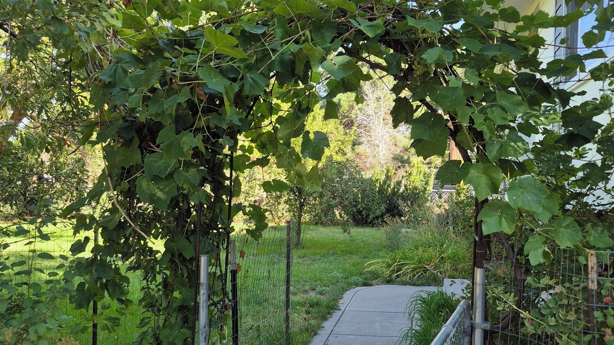 Layton House | Greenish-Acres Farmhouse