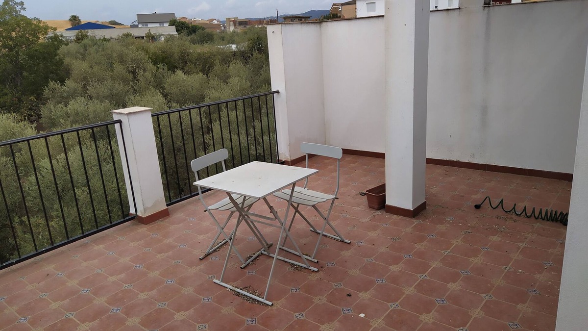 Chejilipes House | greyhound house