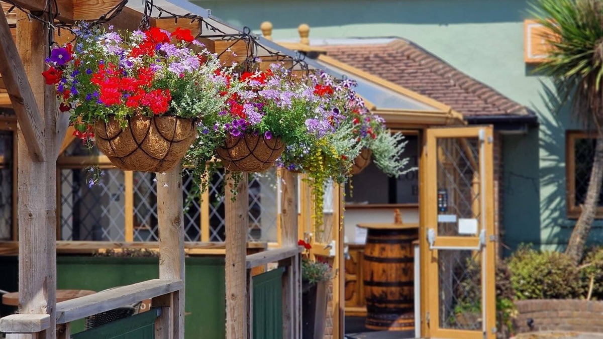 Winterborne Kingston Bed & Breakfast | Greyhound Inn Freehouse