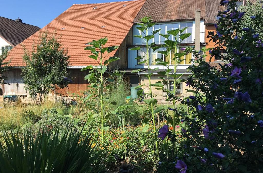 Hallau Apartment | Grosszügiges Bauernhaus für Familie und Freunde
