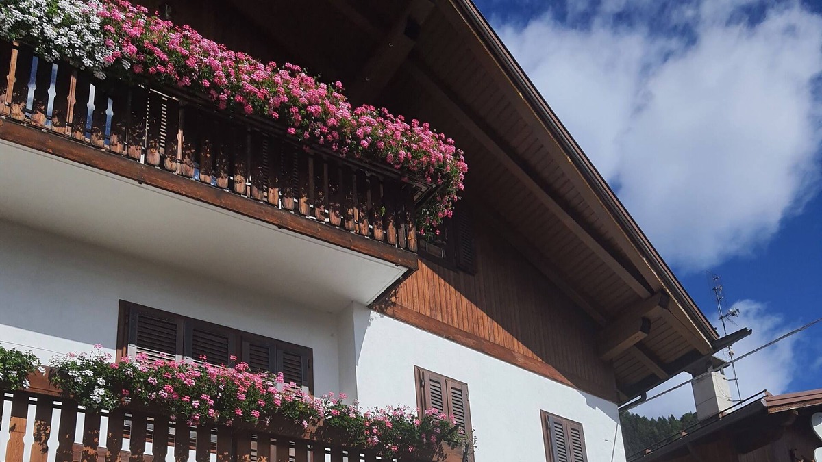 Valle di Cadore Apartment | Ground floor apartment