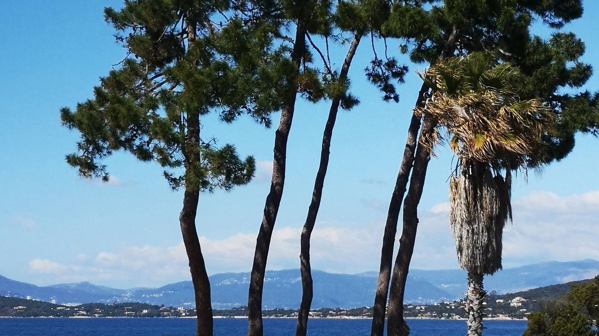 Verghia Villa | Ground floor of villa with panoramic view of the Gulf of Ajaccio