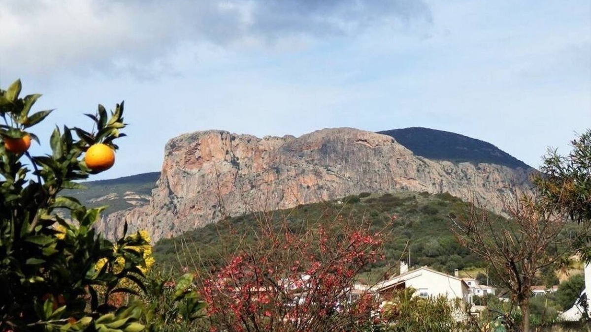 Afa Villa | Ground floor of villa-house, T3 apartment 10 min from Ajaccio