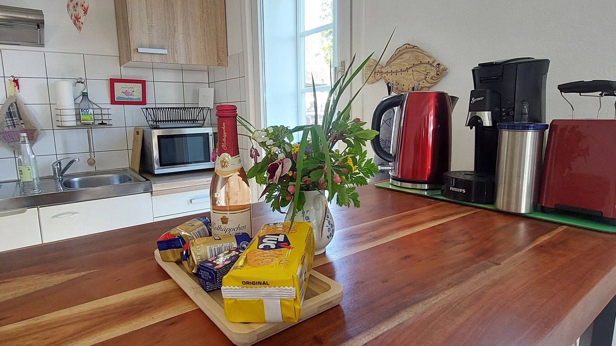 Dollern Apartment | Ground-floor vacation apartment, quiet, lovingly furnished, thatched roof - Ferienwohnung Maaß