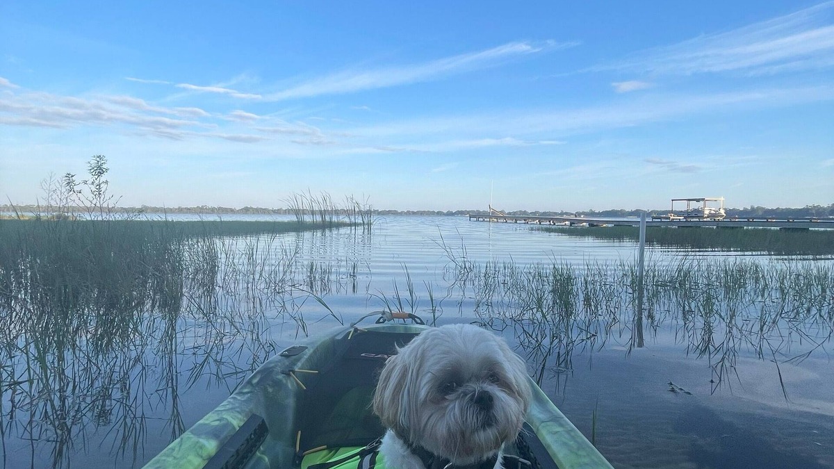 Avon Park Cottage | Grumpy Old Cabin! Dog Friendly Lake House with Kayaks! Close to GOLF!