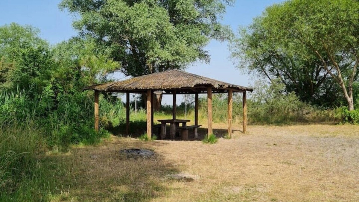 Dreetz Apartment | Grünewald Haus - Apartment with 3 bedrooms in the countryside