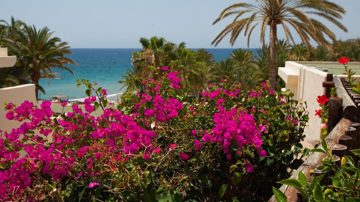 Tarajalillo Apartment | Grupotel Tres Vidas