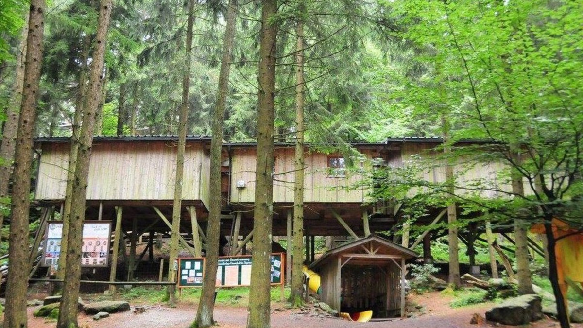 Kopfing im Innkreis House | Gruppenbaumhaus - Baumhotel