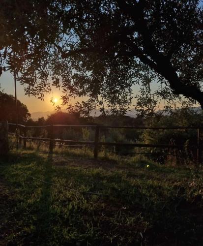 Sessa Aurunca Bed & Breakfast | Guar Country Resort