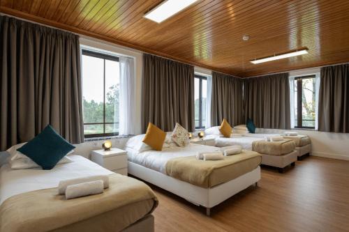 Branca House | Guest House A Loja do Cantoneiro