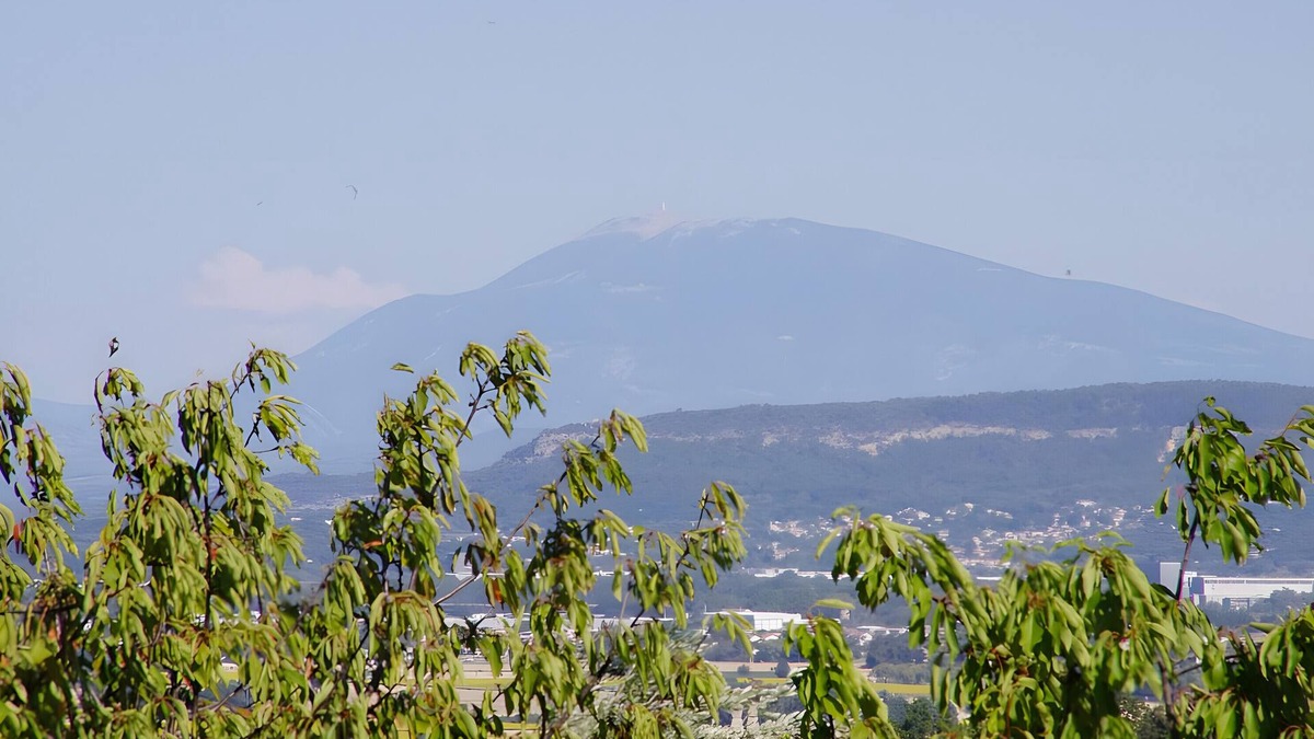 Bourg-Saint-Andeol House | Guest House 'Chambre Côté Ventoux' with Shared Pool and Garden