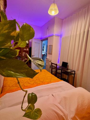 Quartiere XXXI Giuliano Dalmata House | Guest House Romoli