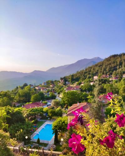 Derviziana Apartment | Guesthouse Anthoula