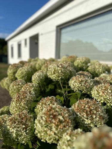 Kasterlee House | Guesthouse Eekhoorn 16