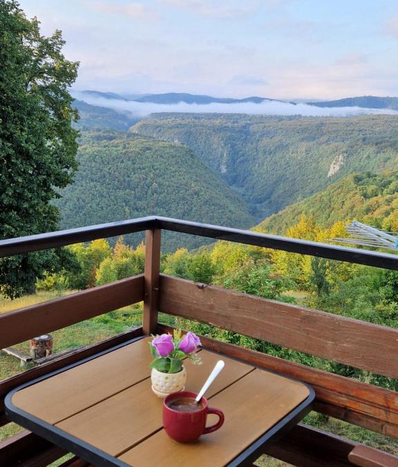 Poljanak House | Guesthouse Loncar