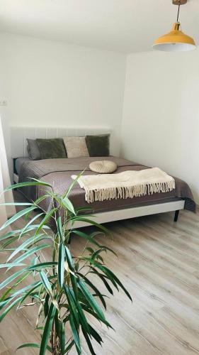 Scharding Apartment | Guesthouse Schärding