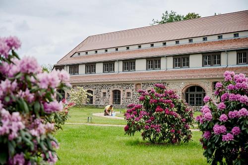 Tauchritz Hotel | Gut am See