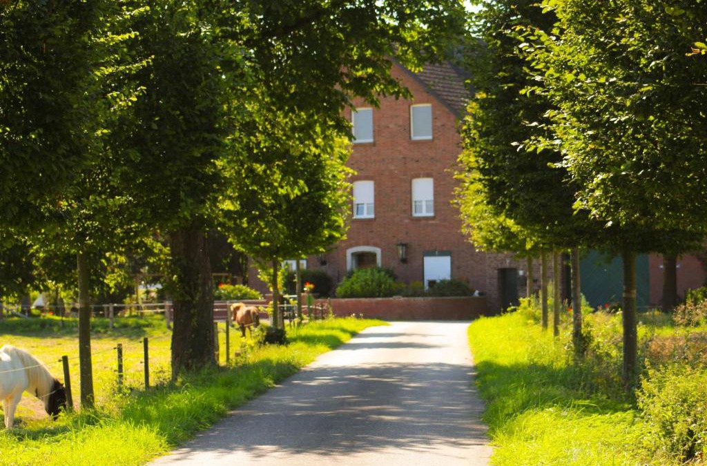 Juelich Apartment | Gut Huthmacherhof