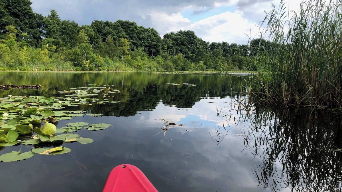 Wustrow House | Gut Pälitzhof - Ferienhaus 6