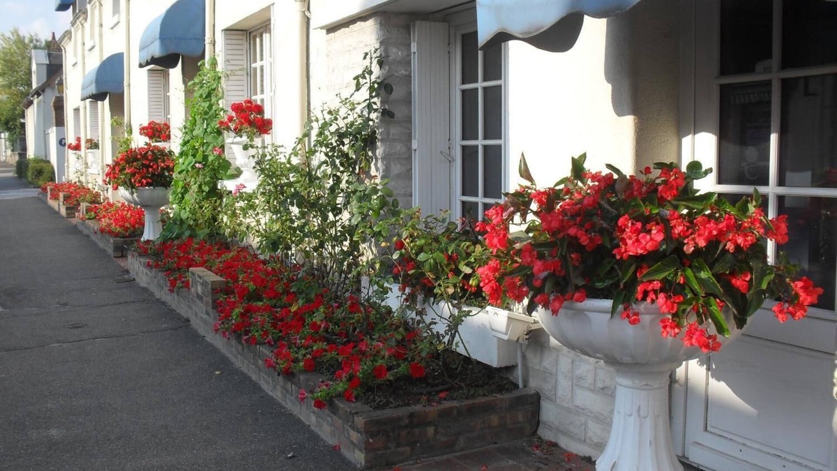 Contres Hotel | Hôtel de France Contres-Beauval-Cheverny
