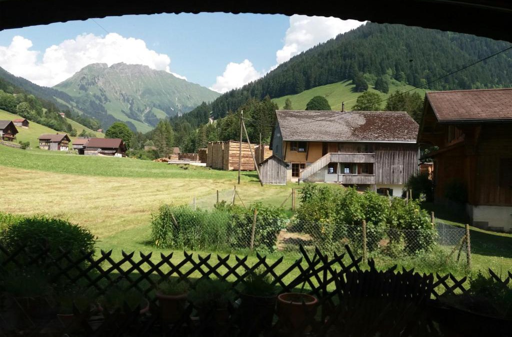 L'Etivaz Hotel | Hôtel du Chamois