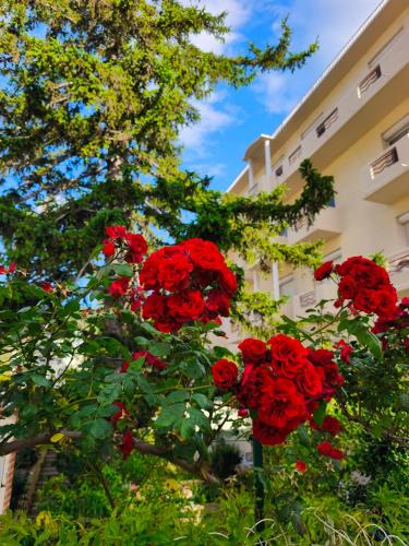 Amelie-les-Bains-Palalda Hotel | Hôtel LA PERGOLA