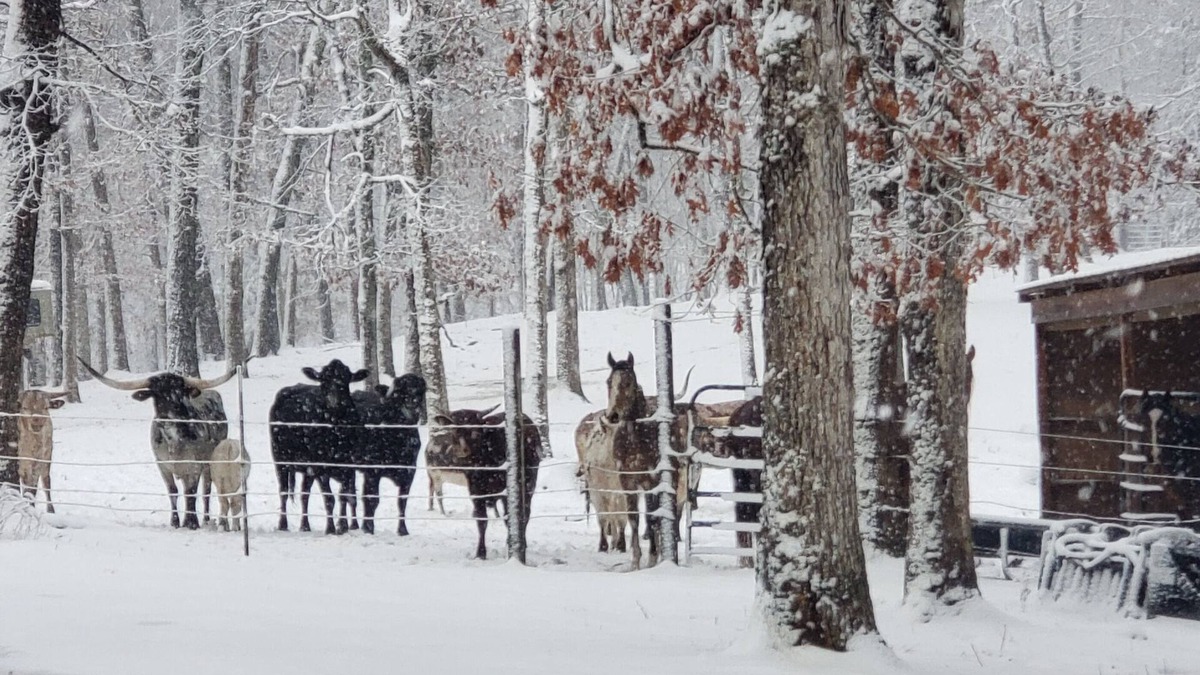 Richwoods RV Rental | Hagood farms and trails