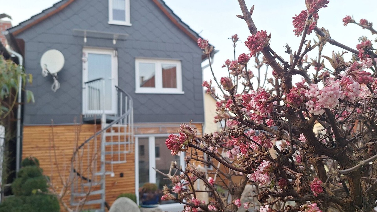 Kammerforst Apartment | Hainichschäferei - If you love peace and quiet and want to hike, this is the place for you