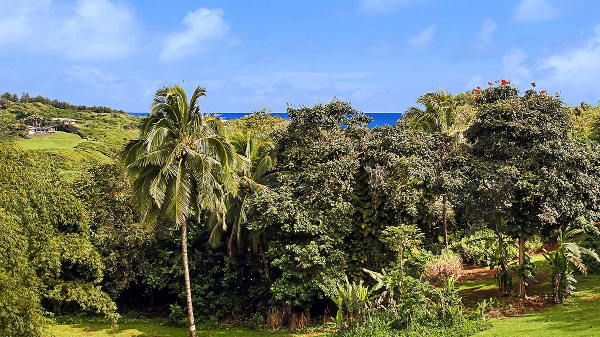 Kilauea House | Hale Kai Kalani - Hosted By Parrish Kauai - Quaint cottage near the beach & bedr