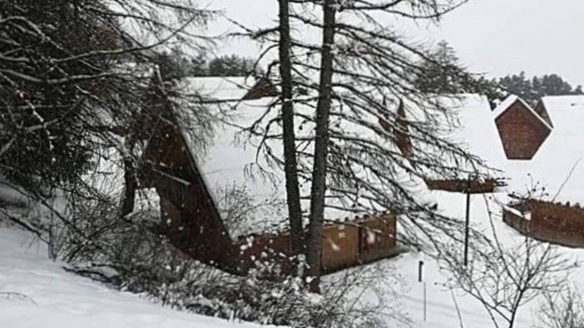 La Joue du Loup Ski Chalet | HALF CHALET IN DUPLEX CLOSE TO SLOPES AND SHOPS