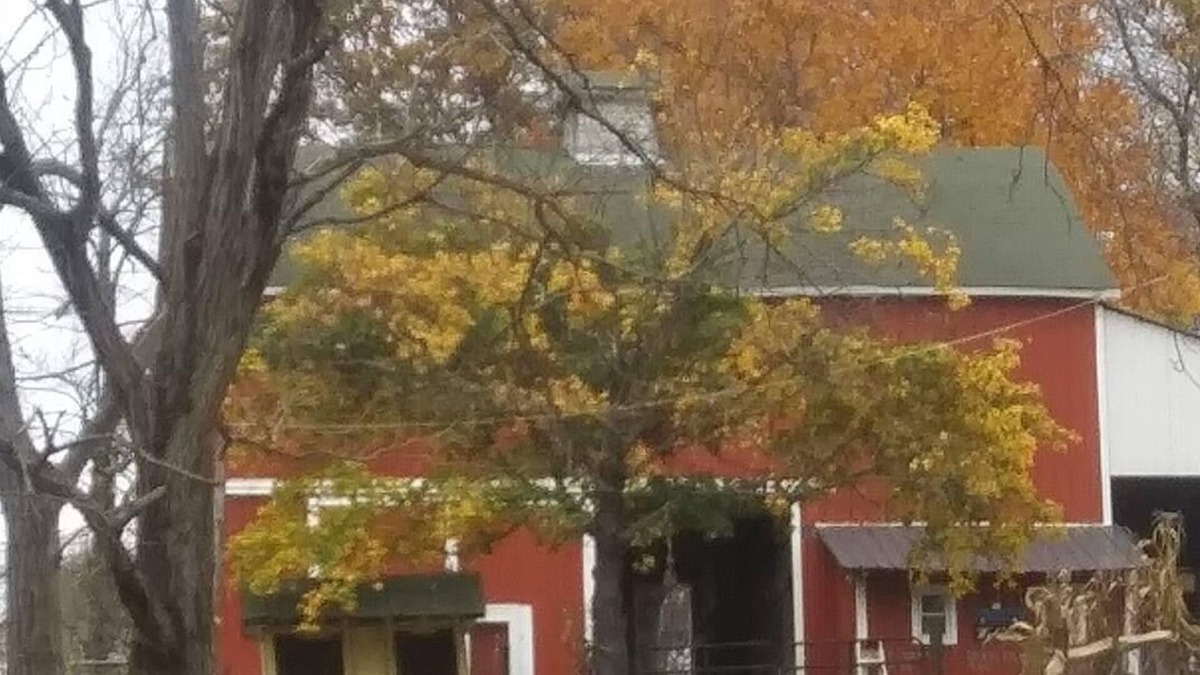Natrona Bed & Breakfast | Half whit farm & BBn10 miles from the US open in Oakmont Pa