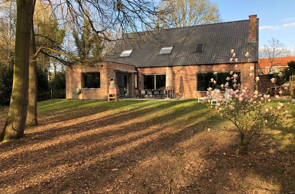 Ham Villa | Hammo