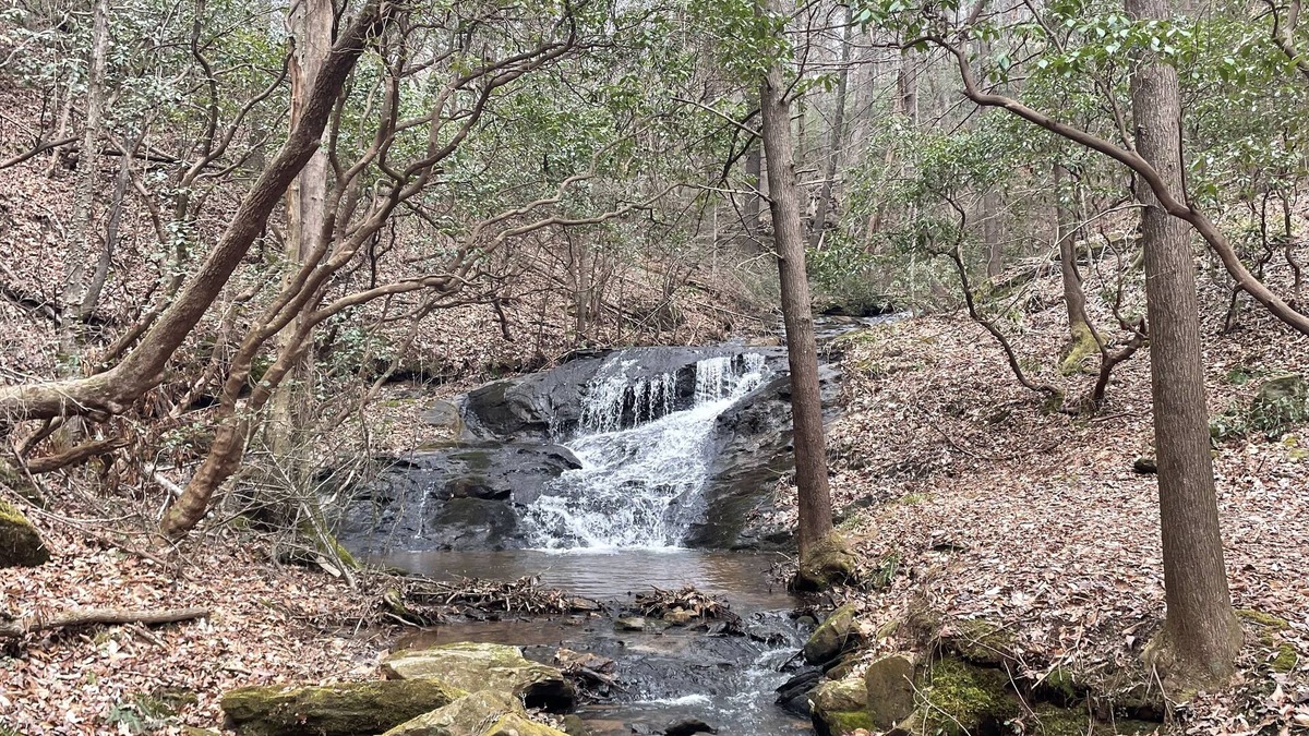 Dahlonega Cabin | Handicapped Friendly in Dahlonega