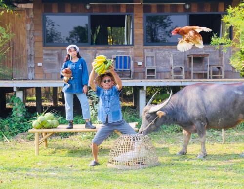 Tha Sala House | Hang Tueng farm stay Chiang Mai แฮงตึง ฟาร์มสเตย์ เชียงใหม่