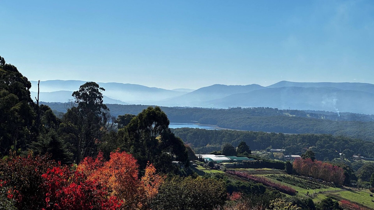 Olinda House | Hanging Garden On Mernda- Mountain view retreat