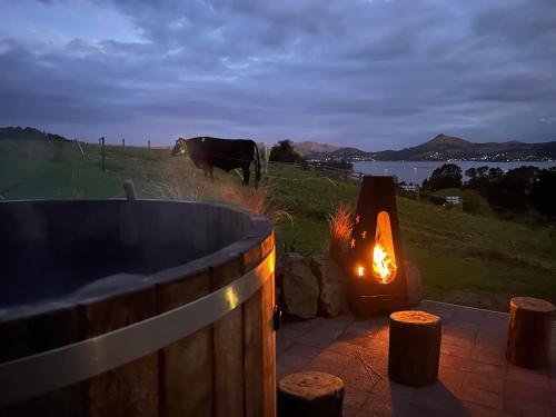 Dunedin Apartment | Harbour Hideaway