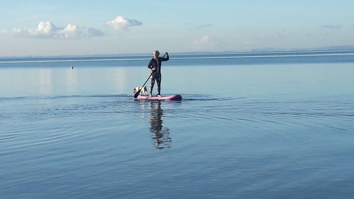 Clarks Beach Apartment | Harbour's Edge Homestay in Clarks Beach