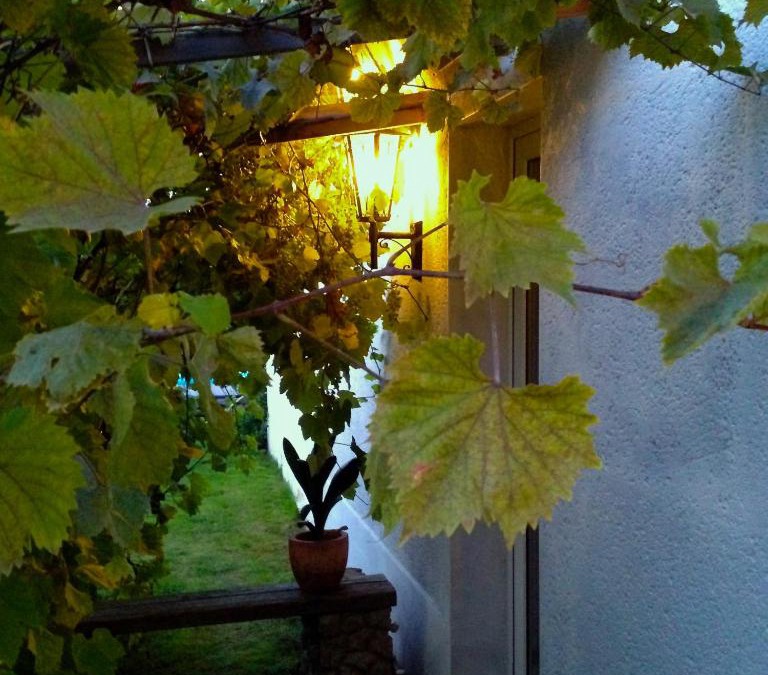 Suedwest House | Haus am Pool