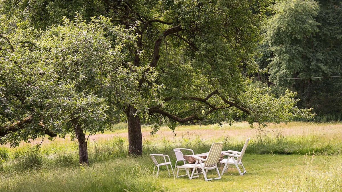 Regen House | Haus am Waldesrand