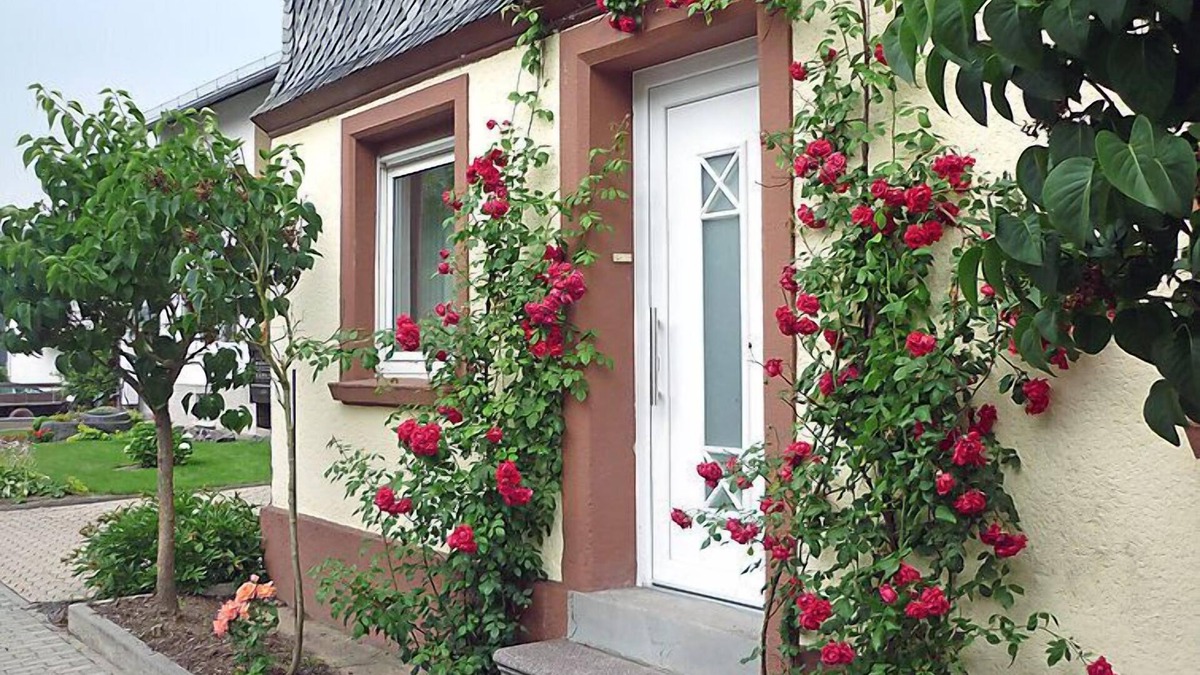 Haserich House | Haus Irmgard by Interhome