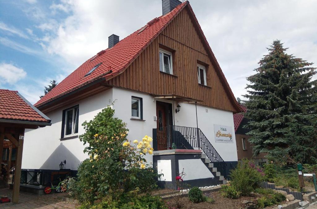 Huttenrode House | Haus Löwenzahn