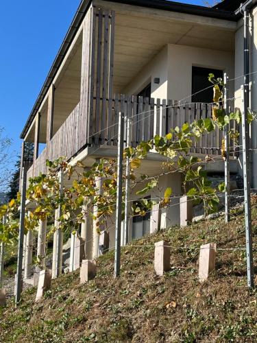 Oberhaag House | Haus Nebel