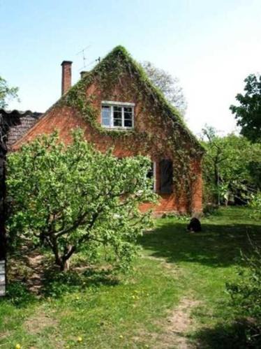 Neustrelitz Apartment | Haus Prälank