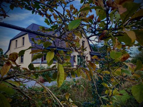 Burg-Dorf House | Haus Stenzinger