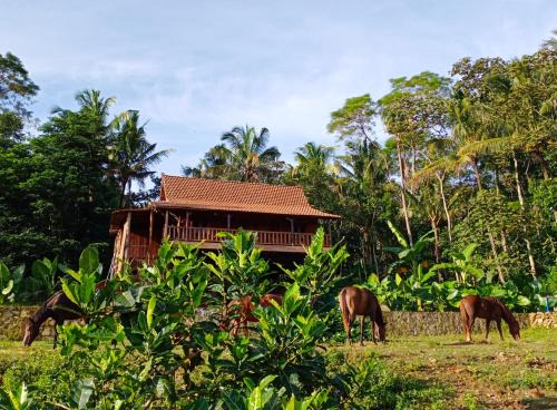 Banaran Villa | Havana Horses Lodge